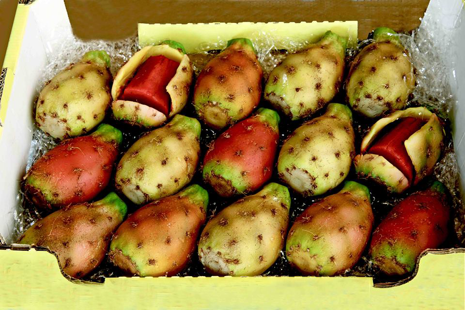 Frutta di Martorana